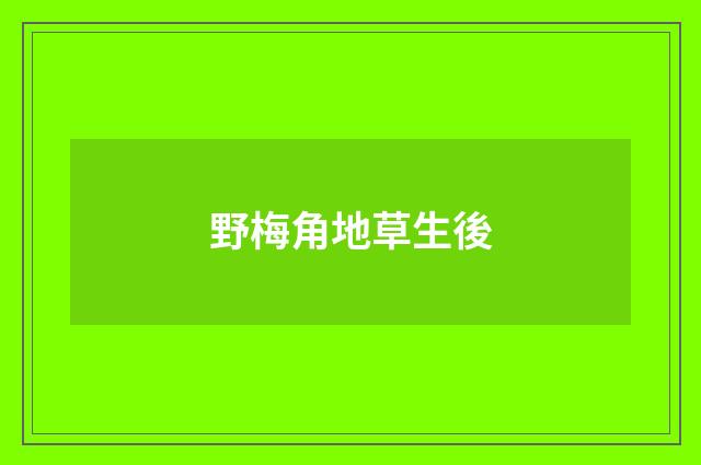 野梅角地草生後
