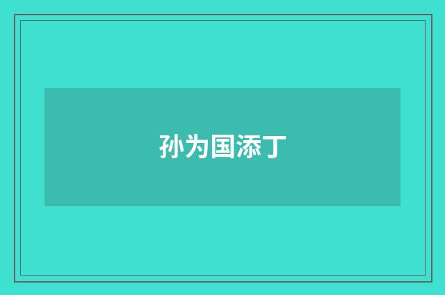 孙为国添丁