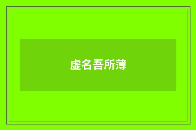 虚名吾所薄