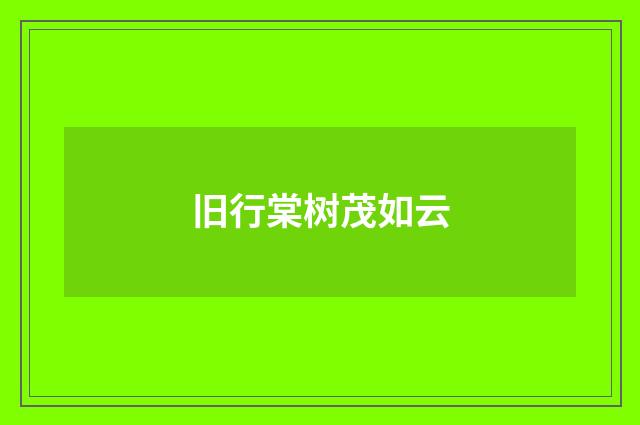 旧行棠树茂如云