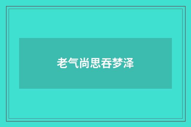 老气尚思吞梦泽