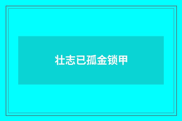 壮志已孤金锁甲