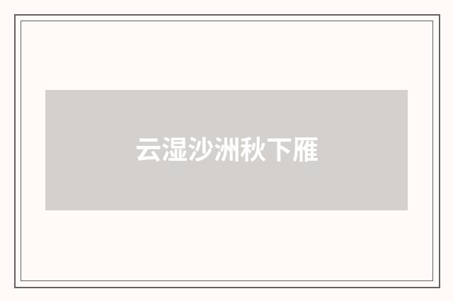 云湿沙洲秋下雁
