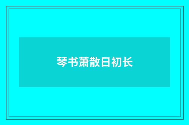 琴书萧散日初长