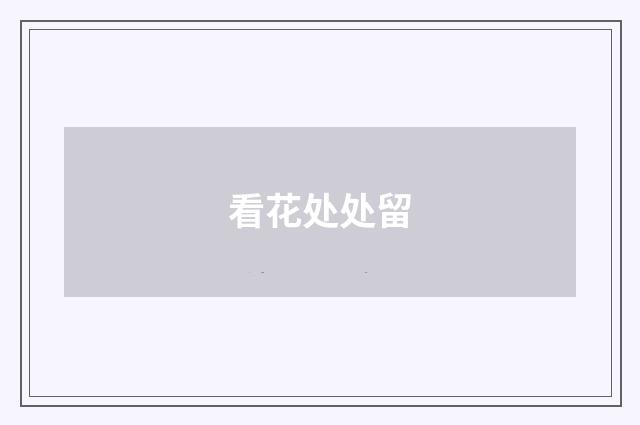 看花处处留