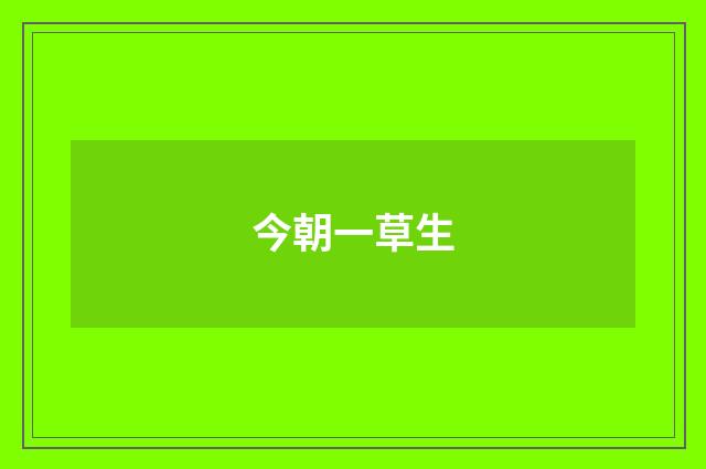 今朝一草生