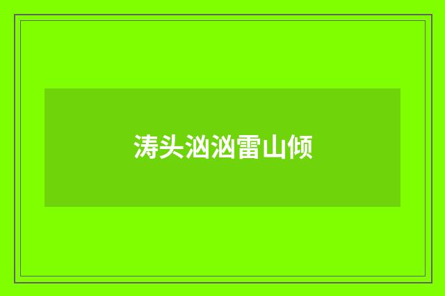 涛头汹汹雷山倾