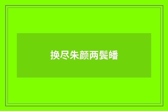 换尽朱颜两鬓皤