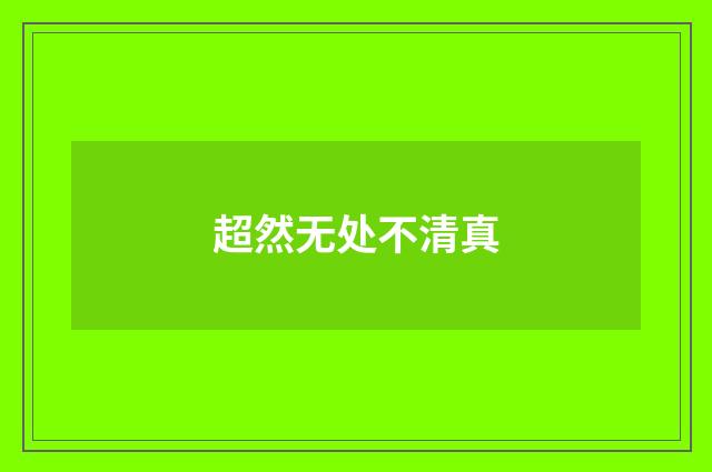 超然无处不清真
