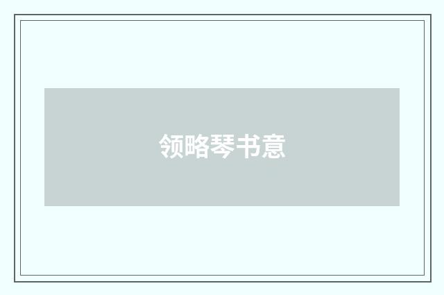 领略琴书意