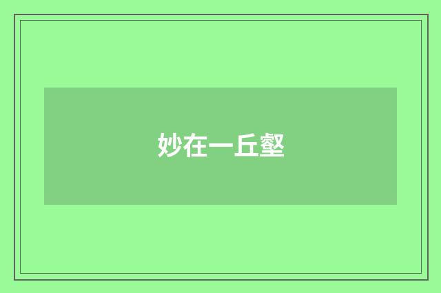 妙在一丘壑