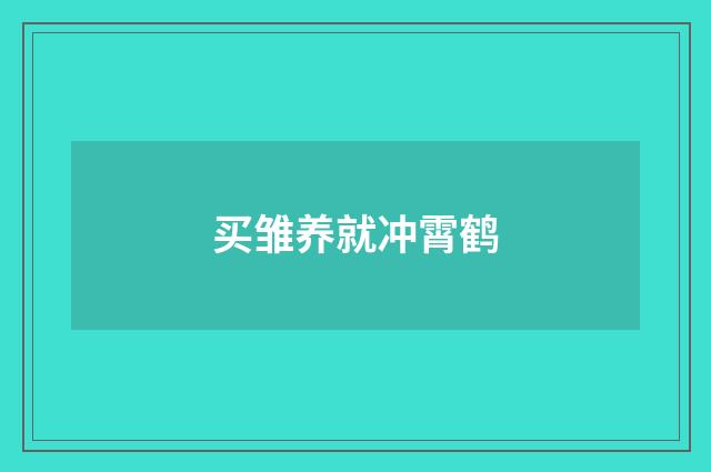 买雏养就冲霄鹤
