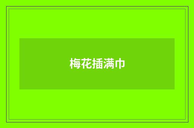 梅花插满巾