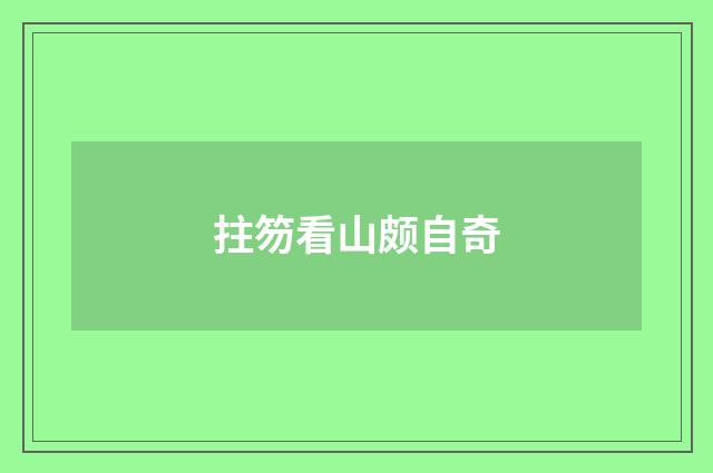 拄笏看山颇自奇
