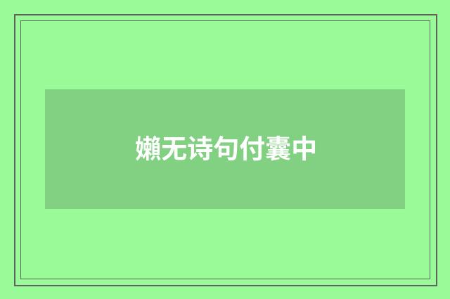 嬾无诗句付囊中