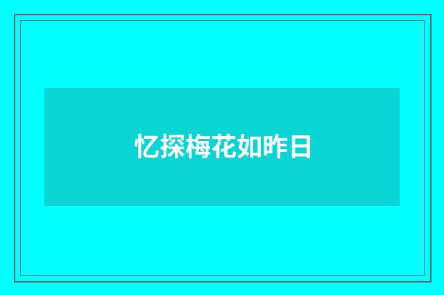 忆探梅花如昨日