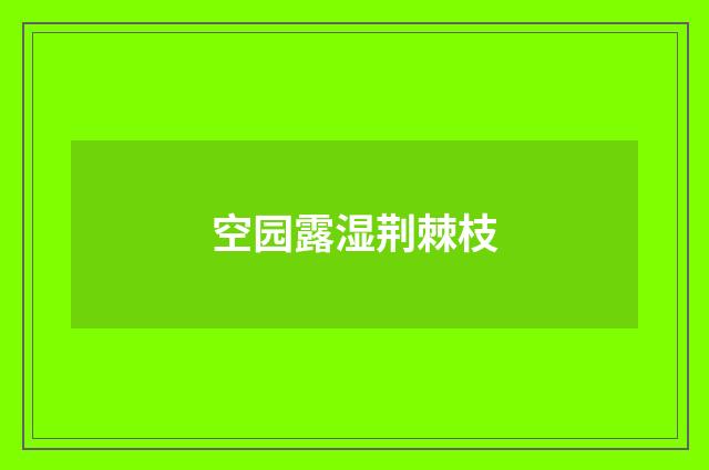 空园露湿荆棘枝