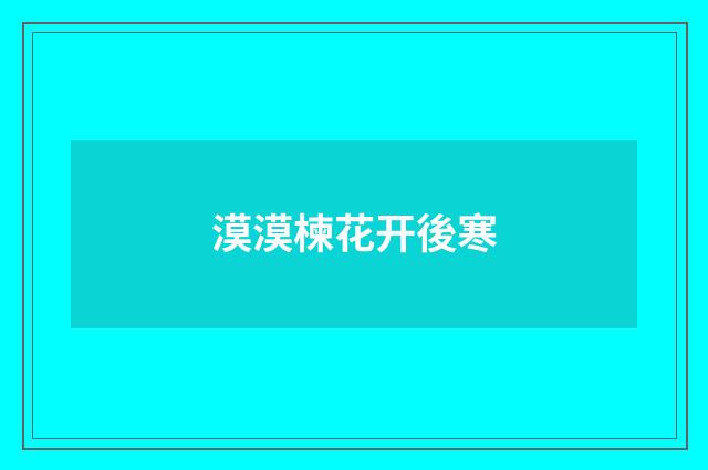 漠漠楝花开後寒