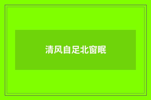 清风自足北窗眠