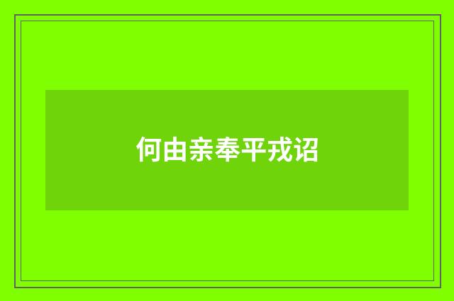 何由亲奉平戎诏