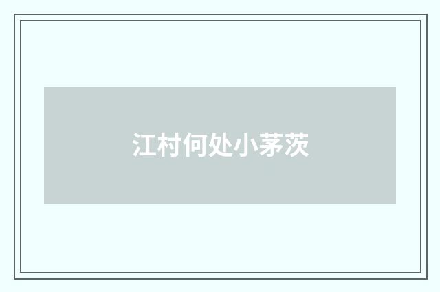 江村何处小茅茨