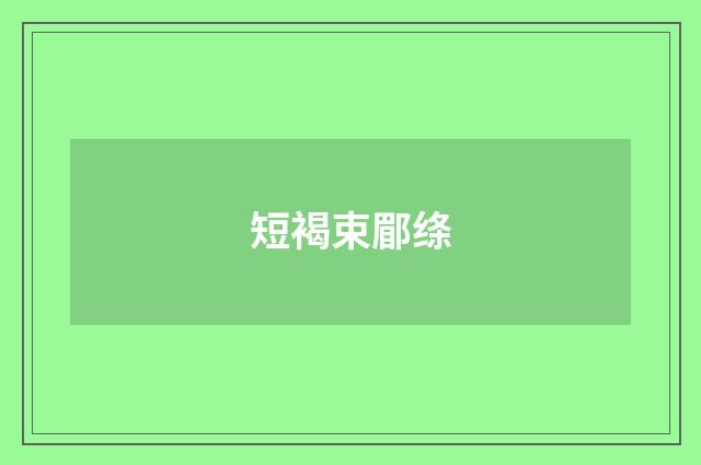 短褐束郿绦