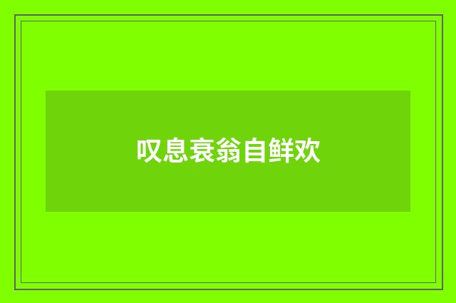 叹息衰翁自鲜欢
