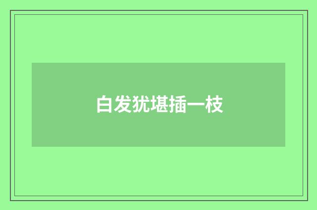 白发犹堪插一枝