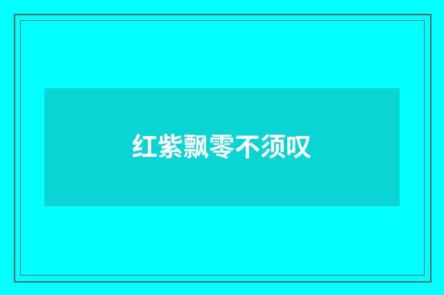 红紫飘零不须叹