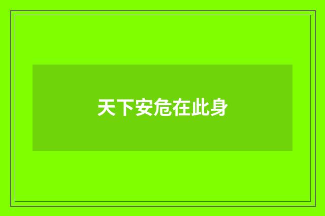 天下安危在此身