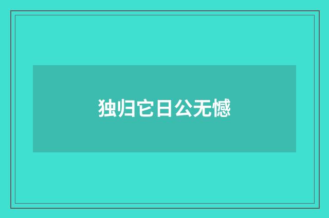 独归它日公无憾