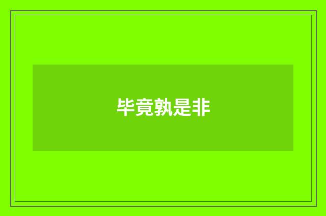 毕竟孰是非