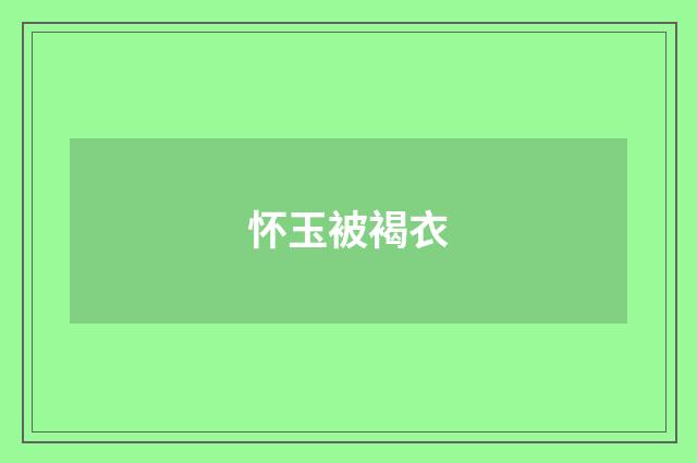 怀玉被褐衣