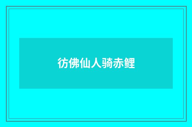 彷佛仙人骑赤鲤