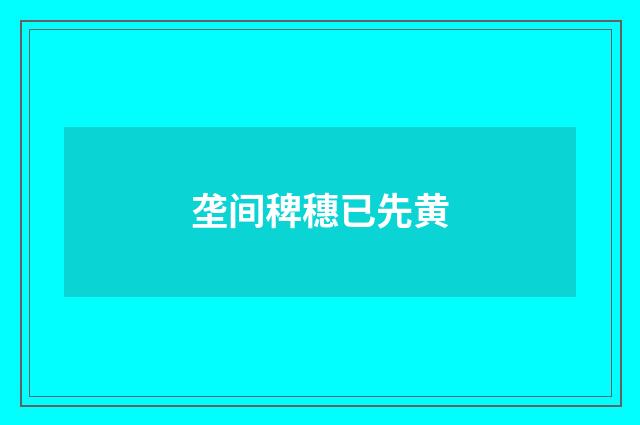 垄间稗穗已先黄