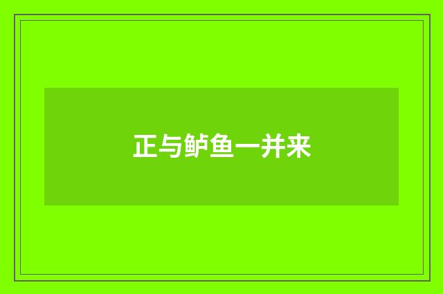 正与鲈鱼一并来