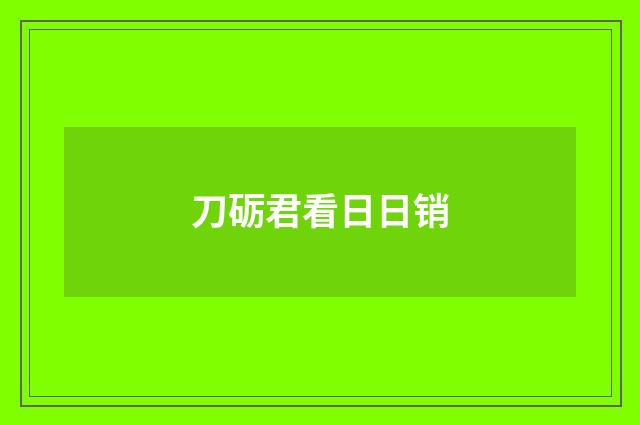 刀砺君看日日销