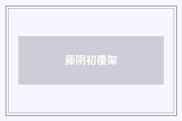 藤阴初覆架