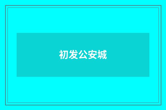 初发公安城