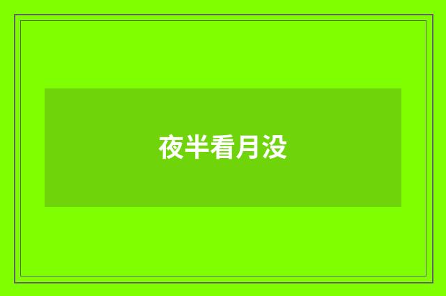 夜半看月没