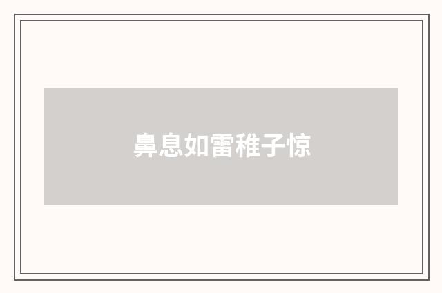 鼻息如雷稚子惊