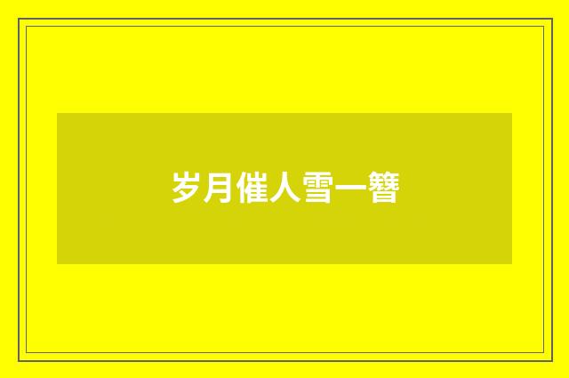 岁月催人雪一簪