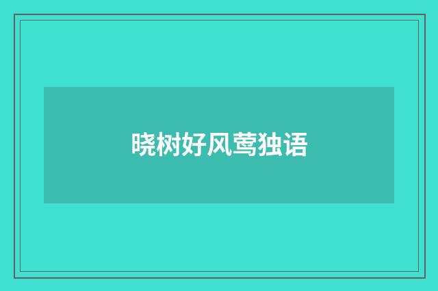 晓树好风莺独语