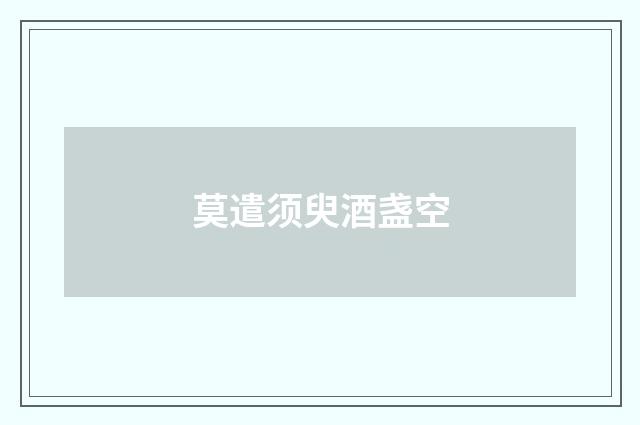 莫遣须臾酒盏空