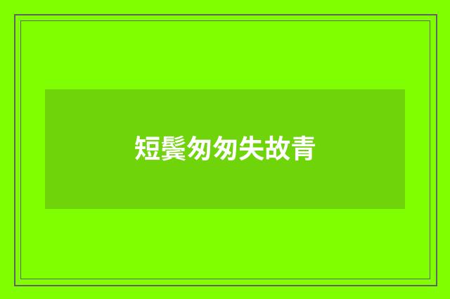 短鬓匆匆失故青