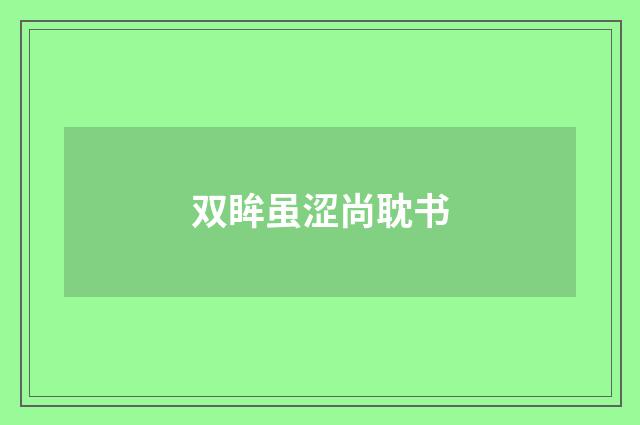 双眸虽涩尚耽书