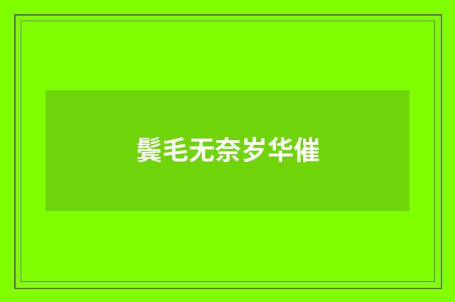 鬓毛无奈岁华催