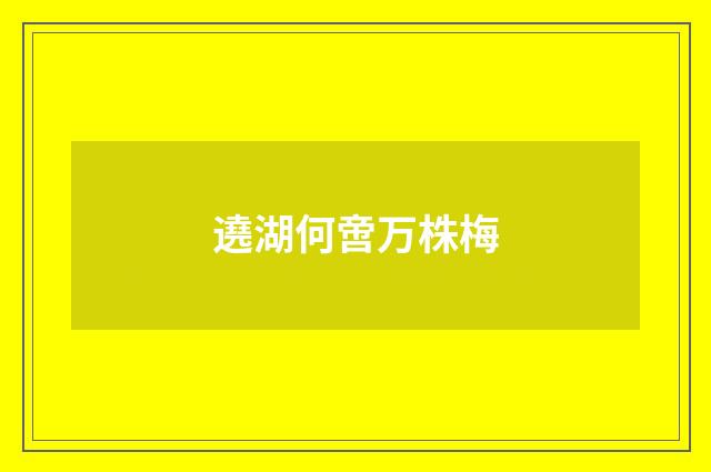 遶湖何啻万株梅