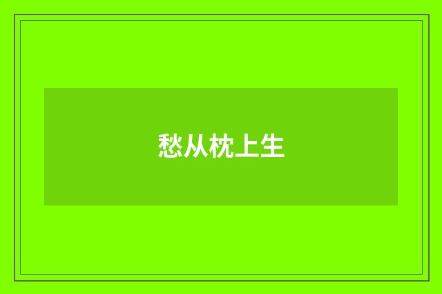 愁从枕上生