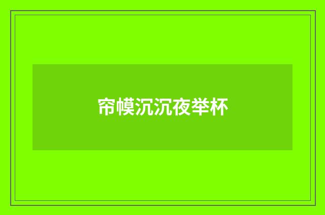 帘幙沉沉夜举杯